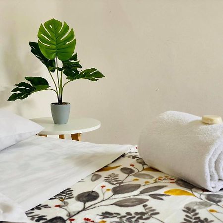 Casa Del Centro Bed and Breakfast Μορέλια Εξωτερικό φωτογραφία