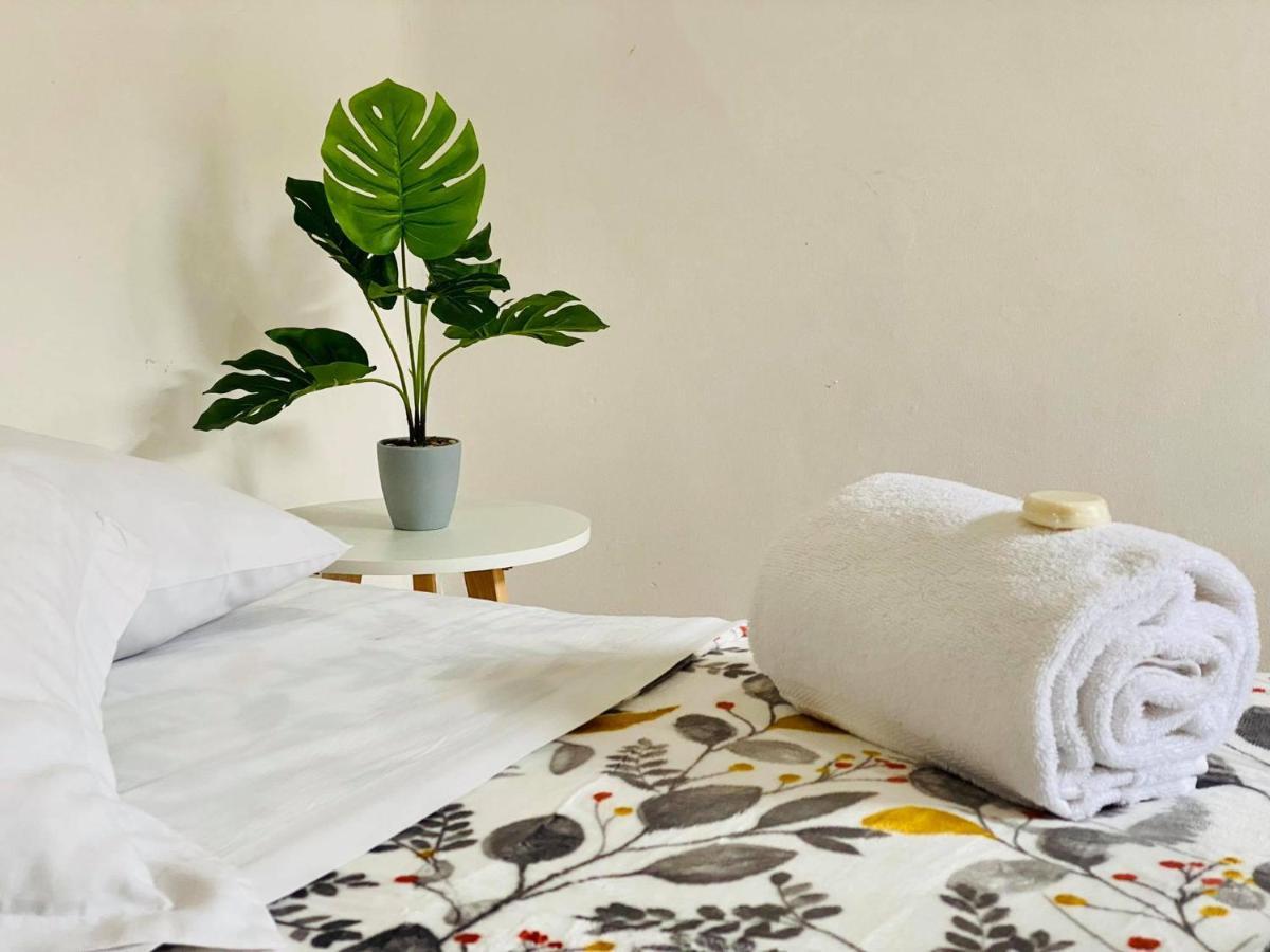 Casa Del Centro Bed and Breakfast Μορέλια Εξωτερικό φωτογραφία