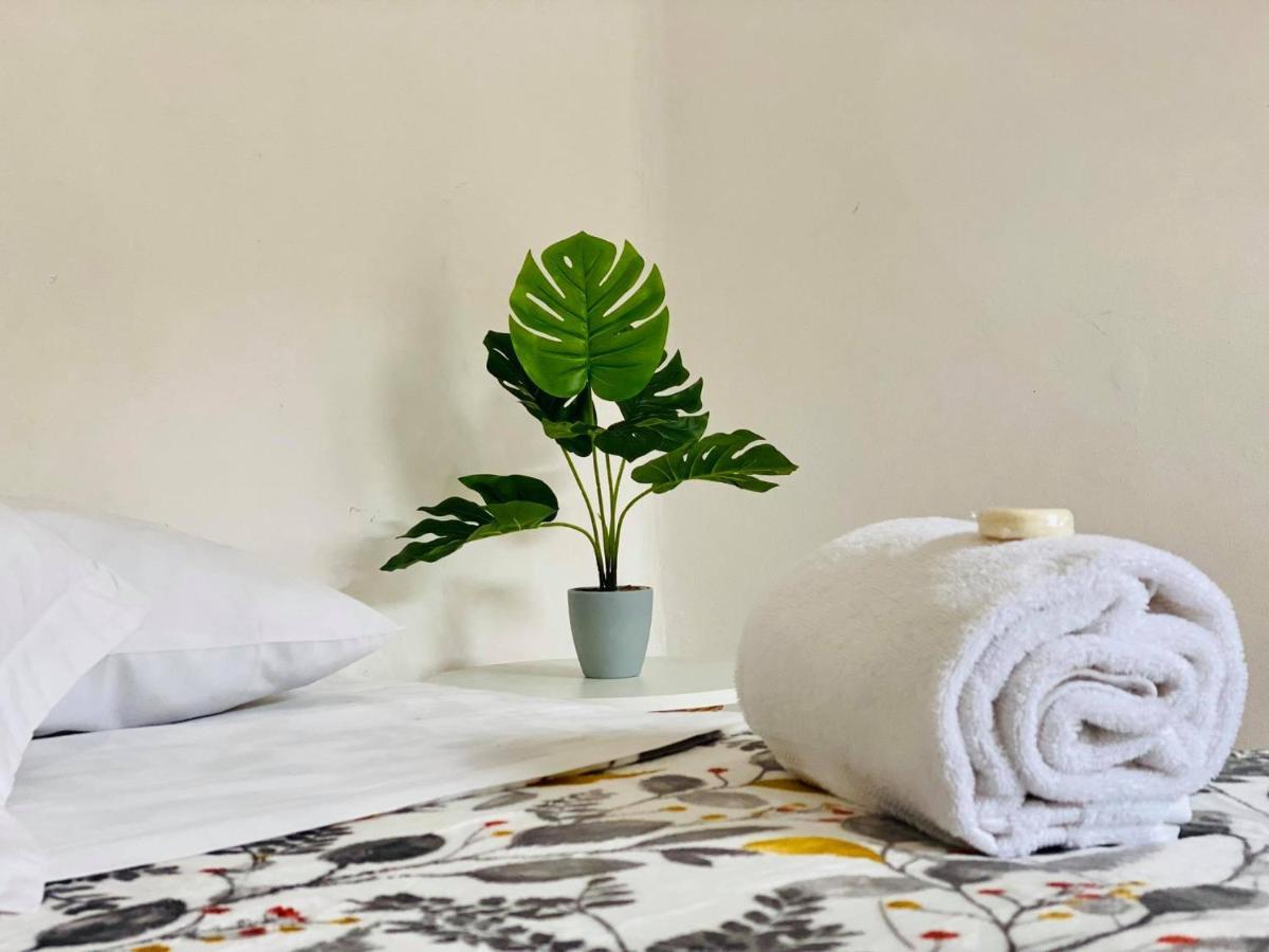 Casa Del Centro Bed and Breakfast Μορέλια Εξωτερικό φωτογραφία