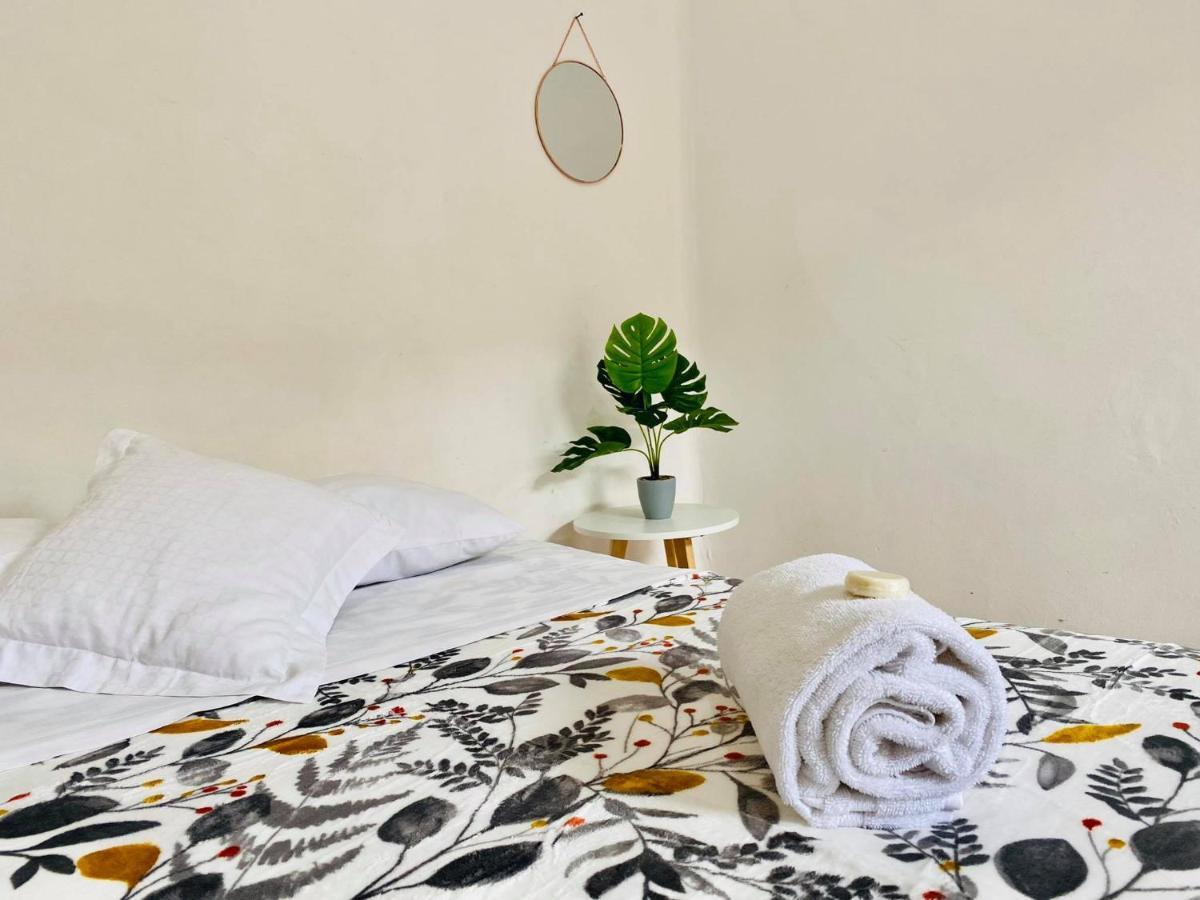 Casa Del Centro Bed and Breakfast Μορέλια Εξωτερικό φωτογραφία